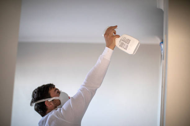 Best Black Mold Remediation in Elverta, CA